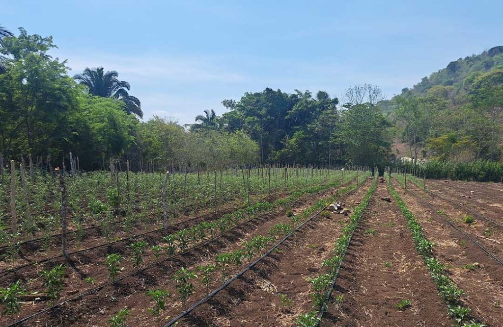 En Pet N Brindan Capacitaciones De Plan De Fertilizaci N Ministerio